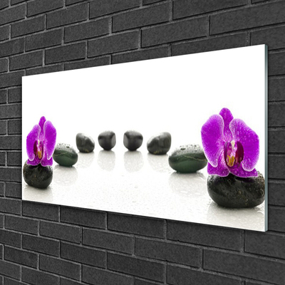 Glasbillede Flower Orchids Pebbles