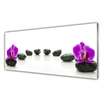 Glasbillede Flower Orchids Pebbles