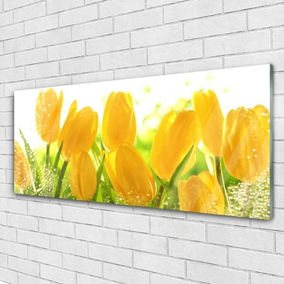 Print på glas Tulipaner Blomster Plante