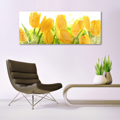 Print på glas Tulipaner Blomster Plante