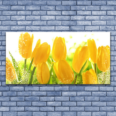 Print på glas Tulipaner Blomster Plante