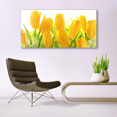 Print på glas Tulipaner Blomster Plante