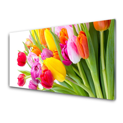 Glasfoto Tulipaner Blomster Plante