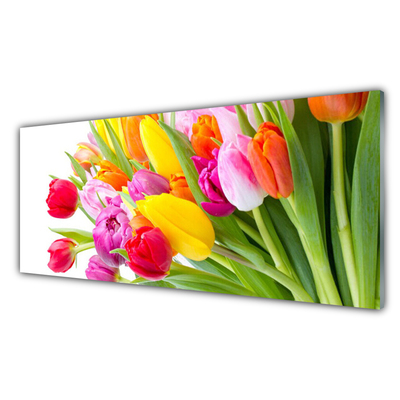 Glasfoto Tulipaner Blomster Plante