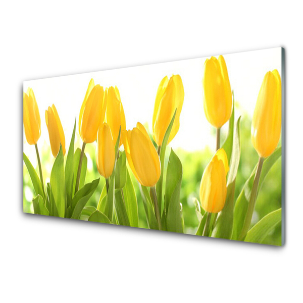 Billede i glas Tulipaner Blomster Plante