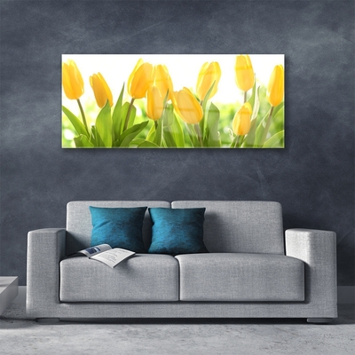 Billede i glas Tulipaner Blomster Plante