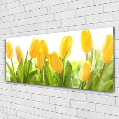 Billede i glas Tulipaner Blomster Plante