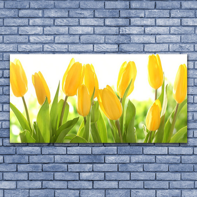 Billede i glas Tulipaner Blomster Plante