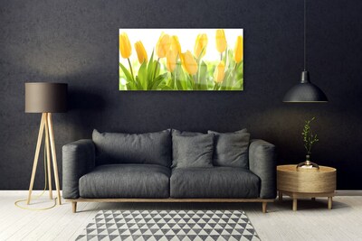 Billede i glas Tulipaner Blomster Plante