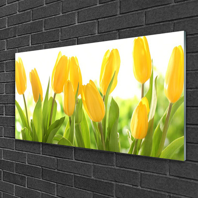 Billede i glas Tulipaner Blomster Plante