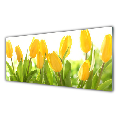 Billede i glas Tulipaner Blomster Plante