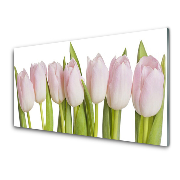 Billede glas Tulipaner Blomster Plante