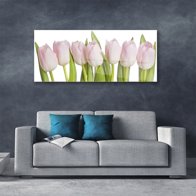 Billede glas Tulipaner Blomster Plante