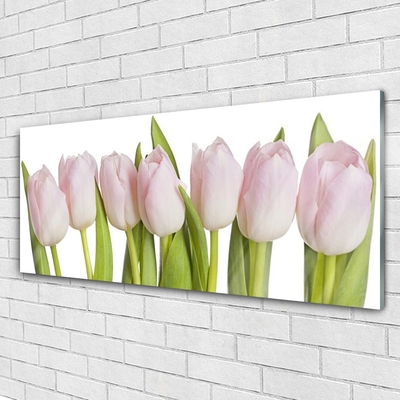 Billede glas Tulipaner Blomster Plante