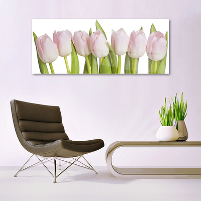 Billede glas Tulipaner Blomster Plante