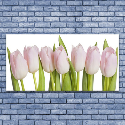 Billede glas Tulipaner Blomster Plante