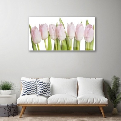 Billede glas Tulipaner Blomster Plante