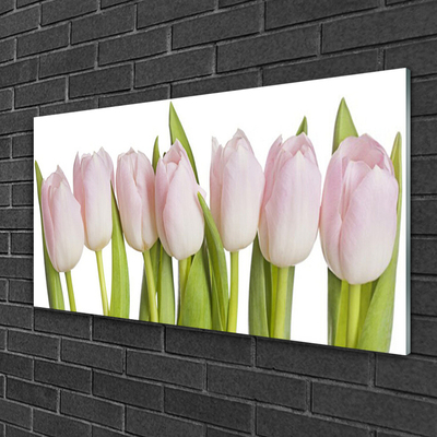 Billede glas Tulipaner Blomster Plante