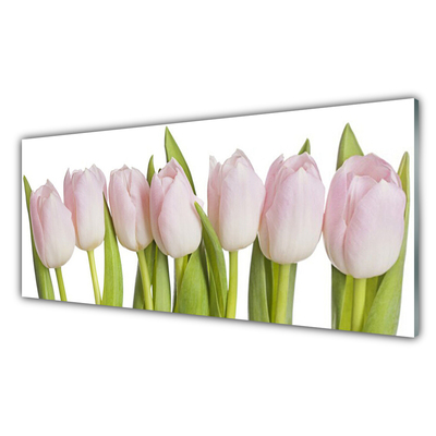 Billede glas Tulipaner Blomster Plante