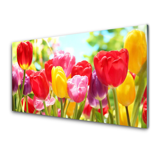 Billede i glas Tulipaner Blomster Plante