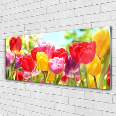 Billede i glas Tulipaner Blomster Plante