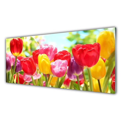 Billede i glas Tulipaner Blomster Plante