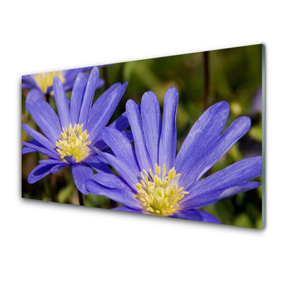 Glasfoto Blomster Plante Natur