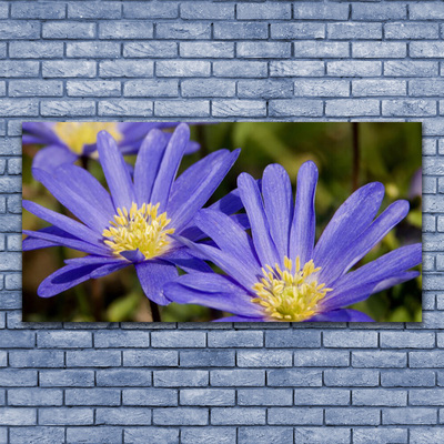 Glasfoto Blomster Plante Natur