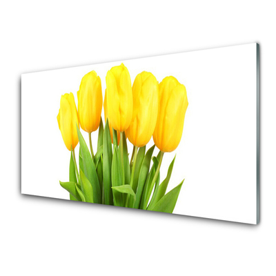 Glas billede Tulipaner Blomster Plante