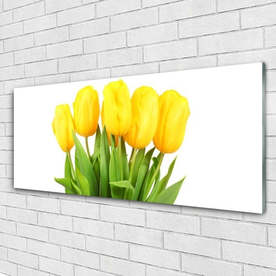 Glas billede Tulipaner Blomster Plante