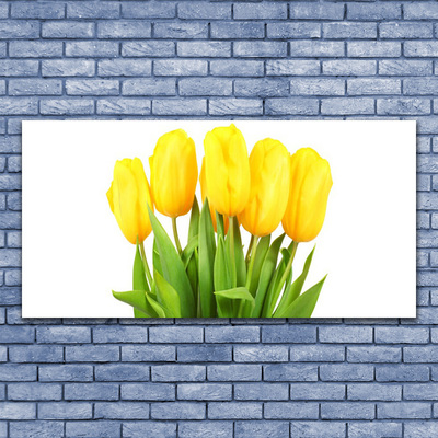 Glas billede Tulipaner Blomster Plante