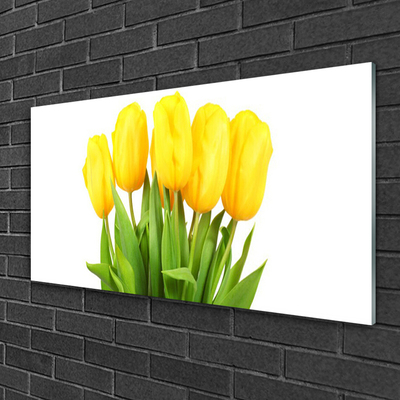 Glas billede Tulipaner Blomster Plante