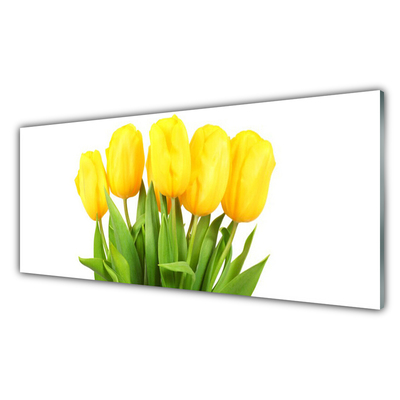 Glas billede Tulipaner Blomster Plante