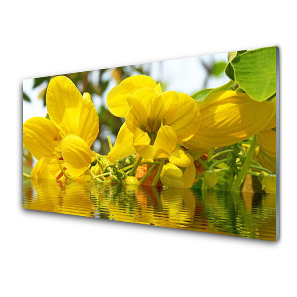 Glasbillede Blomster Plante Natur