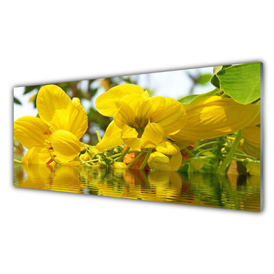 Glasbillede Blomster Plante Natur