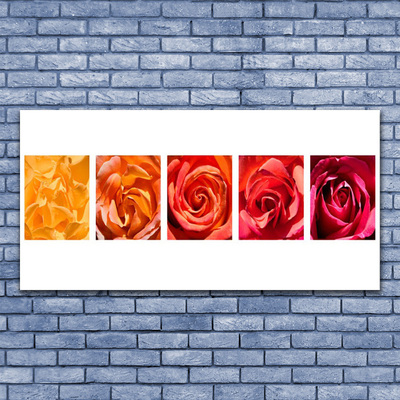 Glas billede Roses Flowers Plant