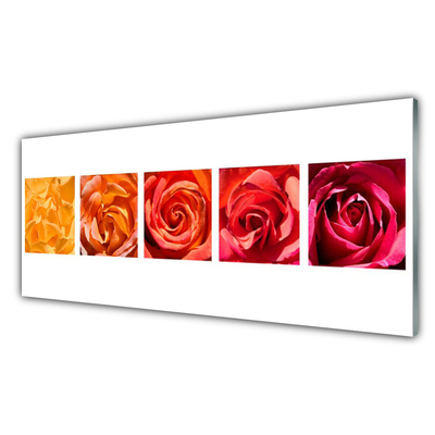 Glas billede Roses Flowers Plant