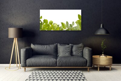 Billede i glas Leaves Nature Plant