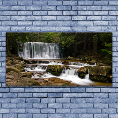 Glasfoto Vandfald Skov Natur