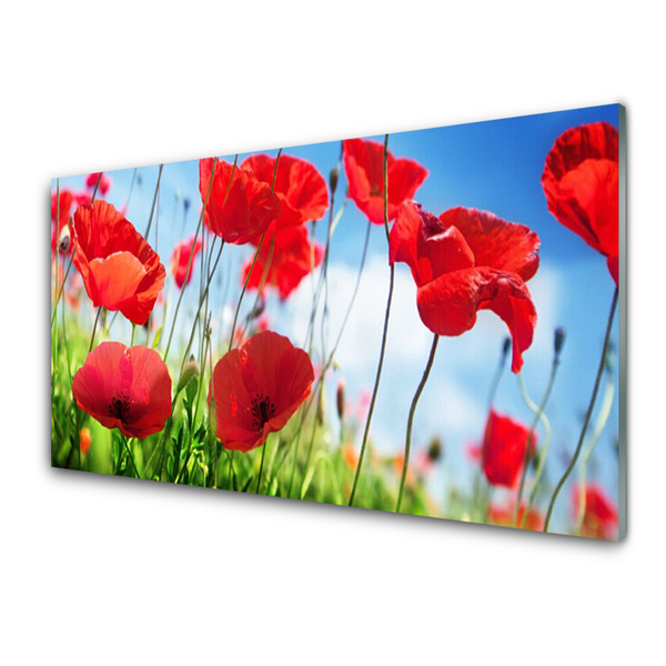 Glasfoto Poppy Nature Plant