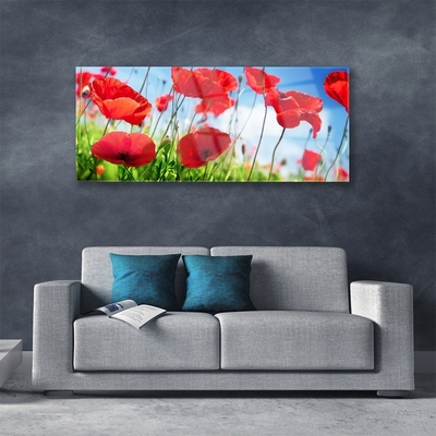 Glasfoto Poppy Nature Plant