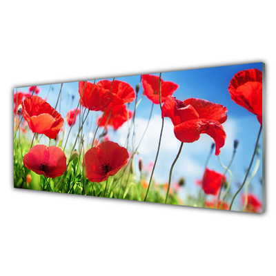 Glasfoto Poppy Nature Plant