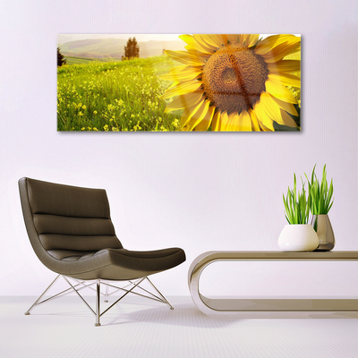 Glasbillede Sunflower Flower Plant