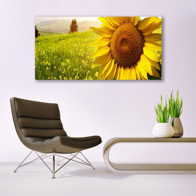 Glasbillede Sunflower Flower Plant