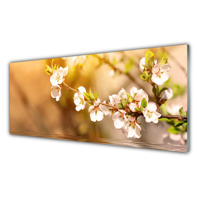 Billede glas Blomster Plante Natur