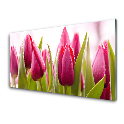 Glasfoto Tulipaner Blomster Plante