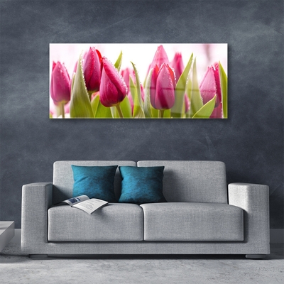 Glasfoto Tulipaner Blomster Plante