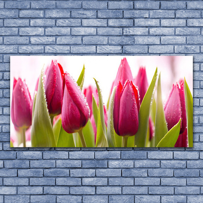 Glasfoto Tulipaner Blomster Plante