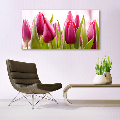 Glasfoto Tulipaner Blomster Plante