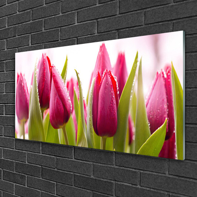 Glasfoto Tulipaner Blomster Plante